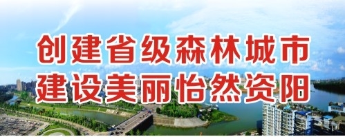 肏穴视频网站创建省级森林城市 建设美丽怡然资阳